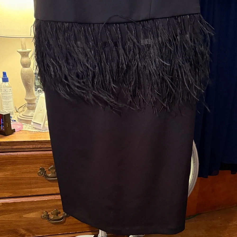 Eloquii Black Dress size 14 with Feather Trim. Like new. - Picture 2 of 5